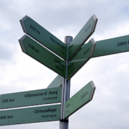 How IT Architecture Coaching Improves Performance